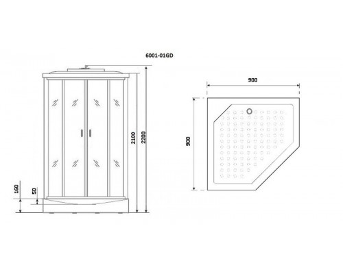 Душевая кабина Niagara Premium NG-6001-01GD 90х90 см